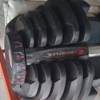 Peso Bowflex