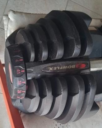 Peso Bowflex