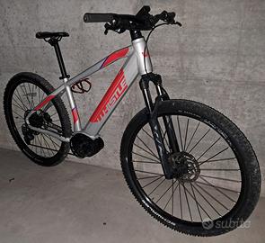 Ebike tg M - front