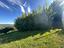 Immagine 14