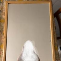 Specchio con cornice in legno  81 x 61