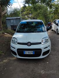 Auto Panda 