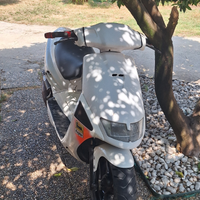 Aprilia Sr 50 Replica Reggiani