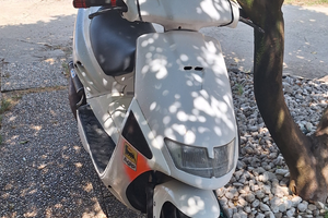 Aprilia Sr 50 Replica Reggiani