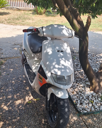 Aprilia Sr 50 Replica Reggiani
