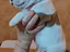 Immagine 5