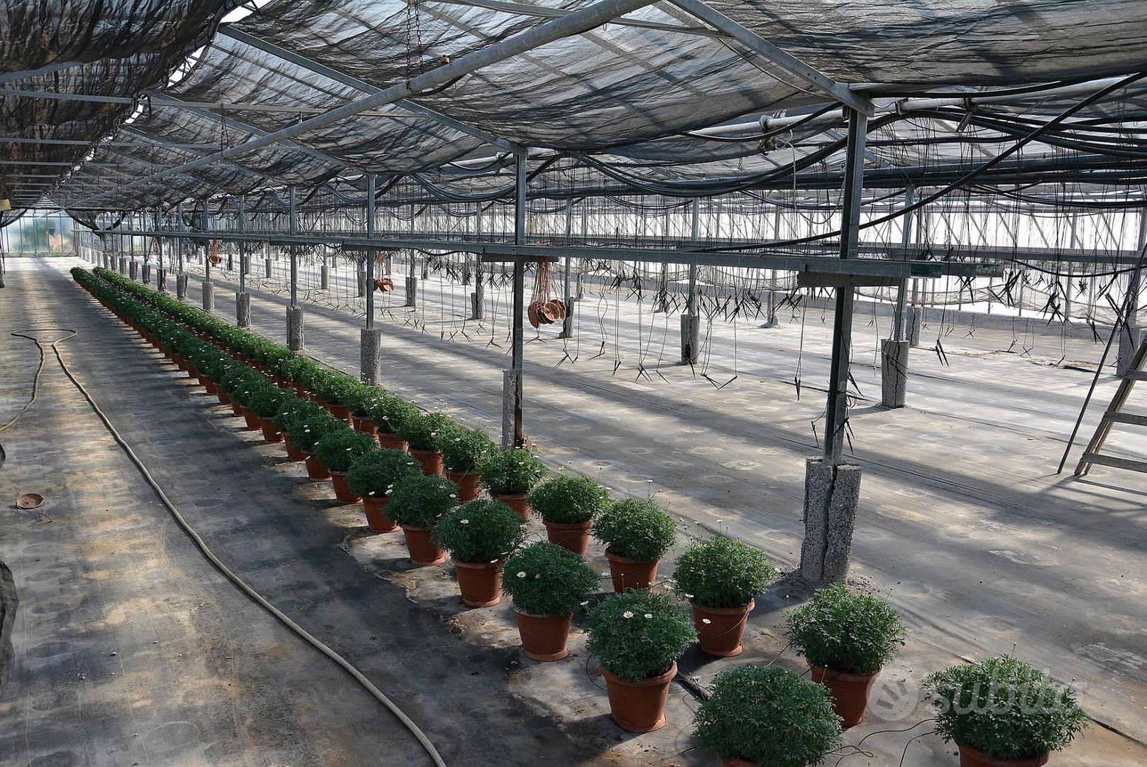 Azienda agricola - Vista 3