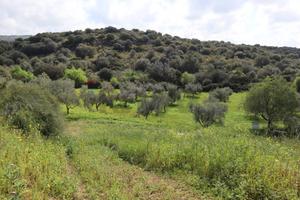 Terreno - Vittoria