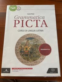 Grammatica Picta, corso di lingua latina
