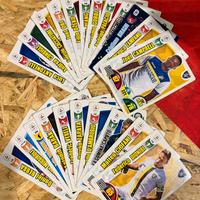 Card Adrenalyne XL 2018-2019