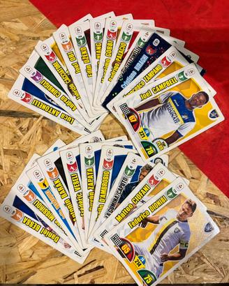 Card Adrenalyne XL 2018-2019