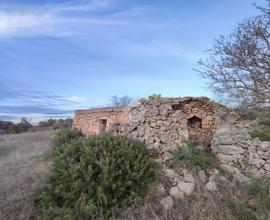 TER. AGRICOLO A TAVIANO