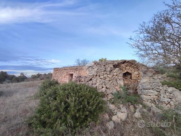 TER. AGRICOLO A TAVIANO