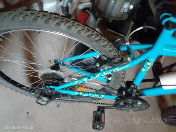 montan bike
