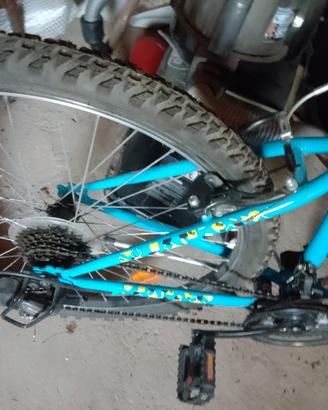 montan bike