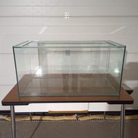 Acquario 250 Litri