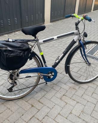 Bicicletta da Uomo