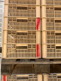 Cassette per appassimento uva