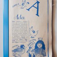 Raro inserto Fabbri anni ’80 – Candy Candy