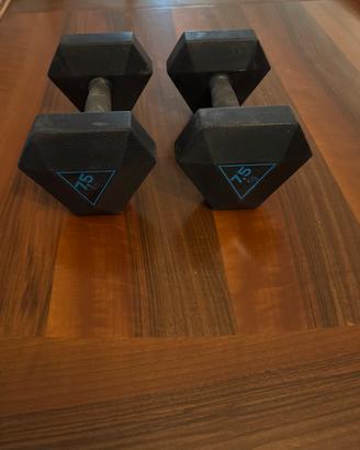 Set 15 kg Palestra Con 2 Manubri da 7,5 Decathlon