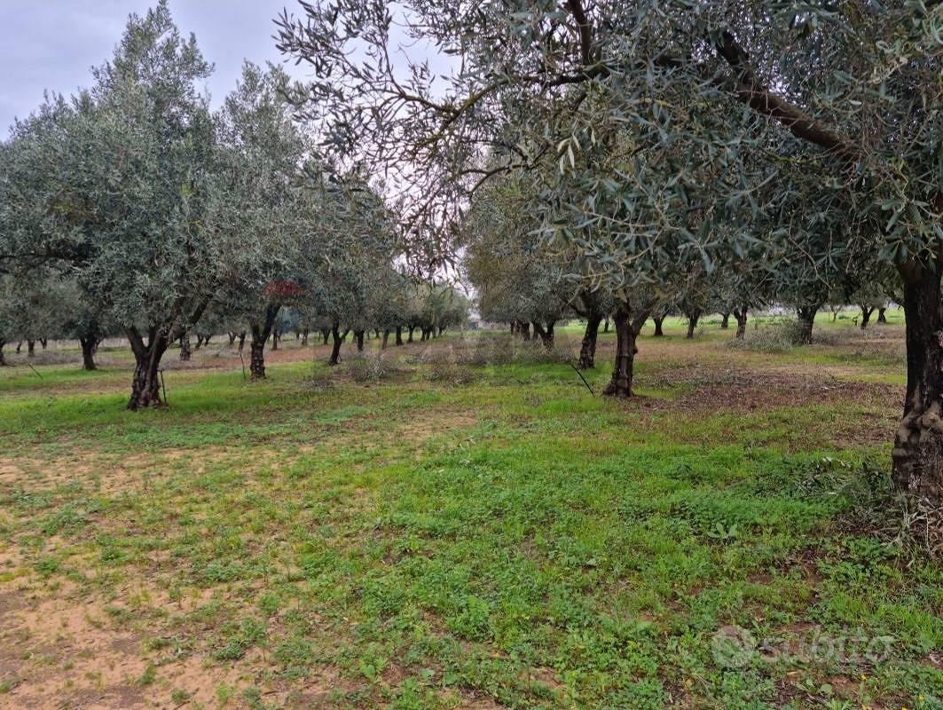 Terreno - Vittoria - Vista 2