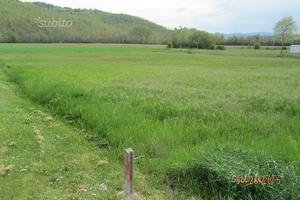 Terreno edificabile industriale