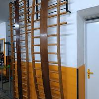 Scala ortopedica curva e dritta 