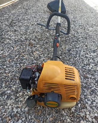 Decespugliatore alpina