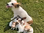 Immagine 5