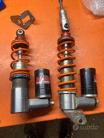 Ammortizzatori pista zip vespa