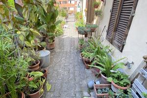 Appartamento Monteriggioni [Cod. rif 3336542VRG]