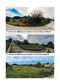 2 terreni a Strada Vicinale Zinziodda