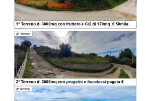 2 terreni a Strada Vicinale Zinziodda