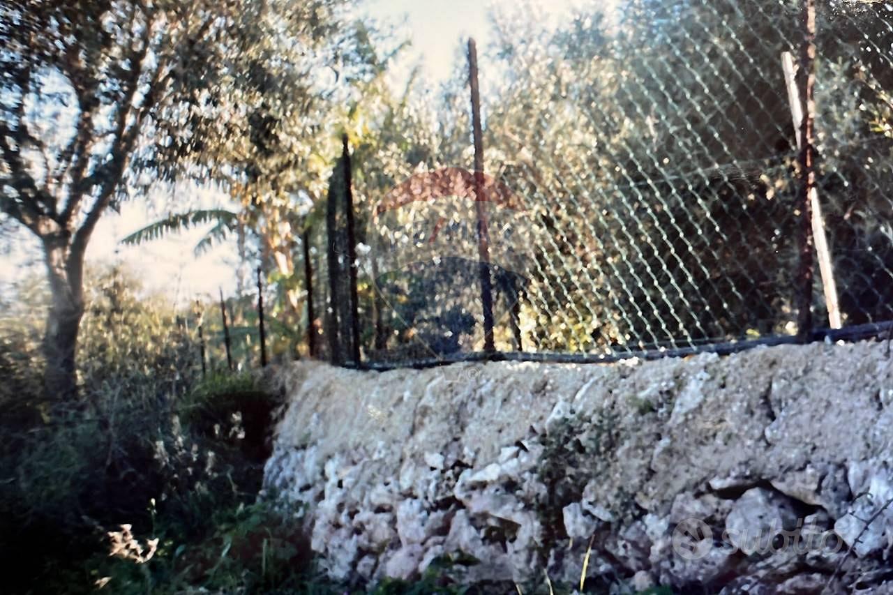 Terreno - Siracusa - Vista 4
