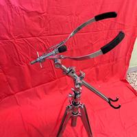 Asta per Congas Gibraltar