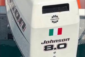 Motore johnson 8 cv 2 tempi