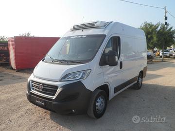 Fiat Ducato furgone frigo coibentato