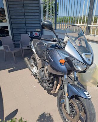 Yamaha TDM 900 2003
