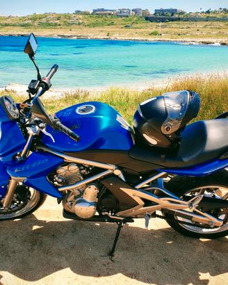 Kawasaki ER 6N – Anno 2009