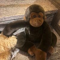 Giocattoli peluche