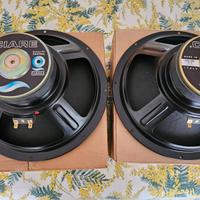Coppia woofer CIARE HW320