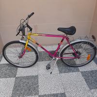 bicicletta