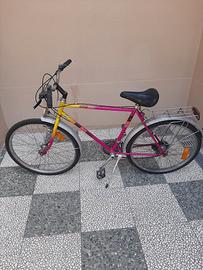 bicicletta