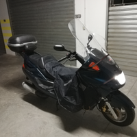 Majesty dx 250