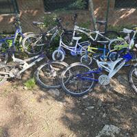Biciclette per ragazzi e bambini.