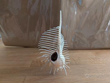 splendida conchiglia 
