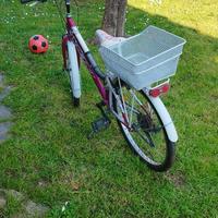 Bici da Bimba Vicini cerchi da 24