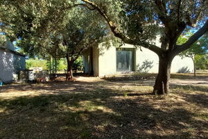 Terreno m2 13.500 con fabricato