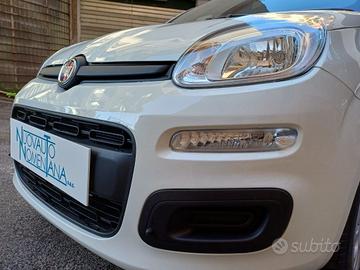 FIAT Panda 1.0 FireFly S&S Hybrid Icon 5°Posto A