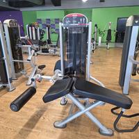 Leg curling prone panatta